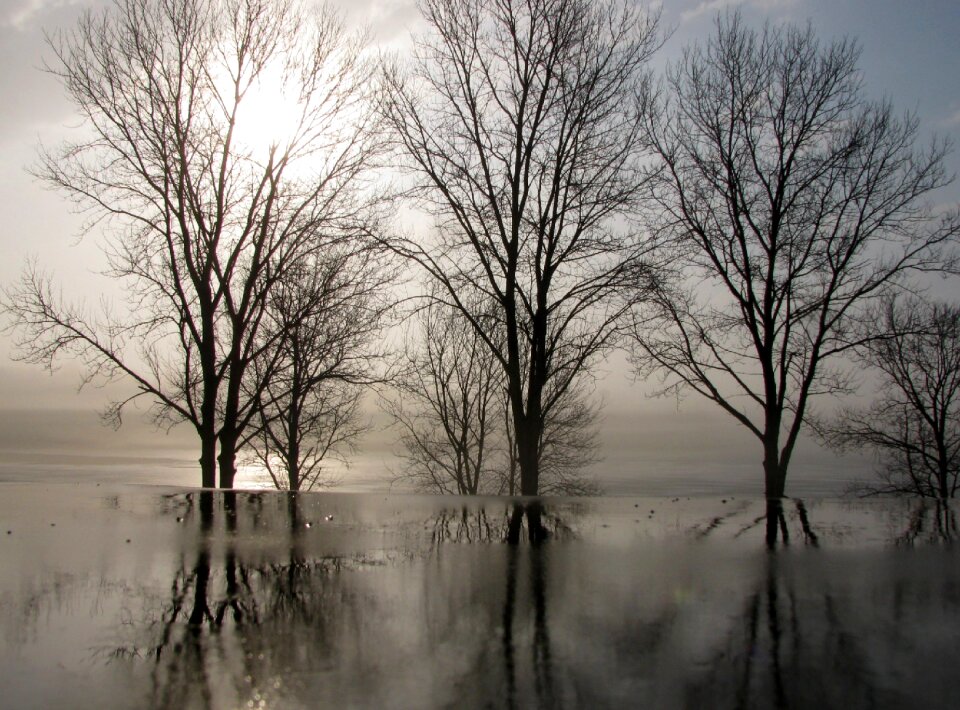 Sunrise landscape morning