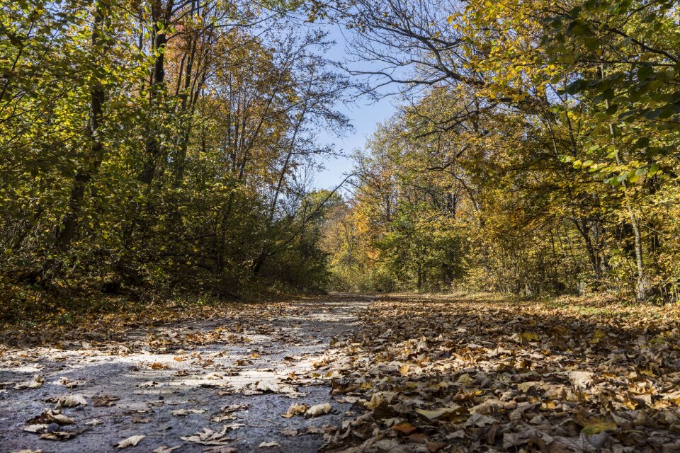 Anina romania autumn
