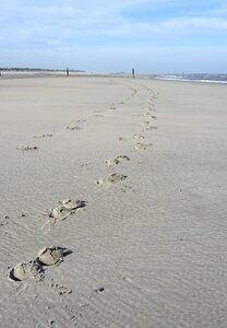 Sand trace footprint