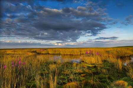 Landscape sky scenery