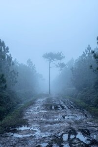 Thailand sky rock photo