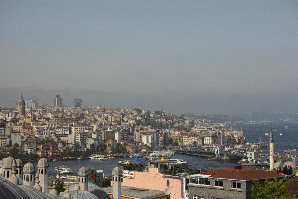 Townscape marine turkey