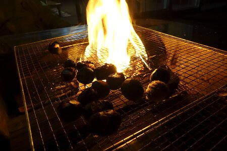 Chest nut darkness fire