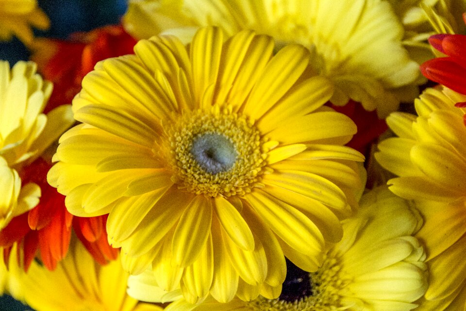 Spring nature perfume