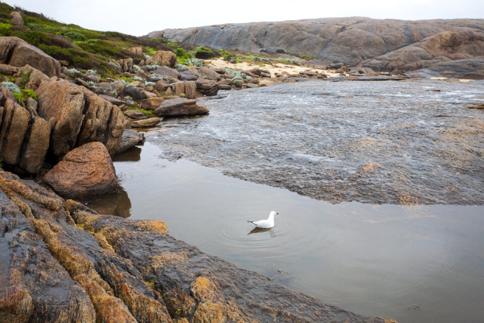 Water coast