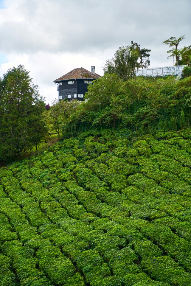 Background beautiful malaysia