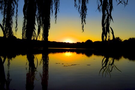 Romantic willow water