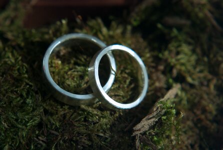 Moss romantic romance