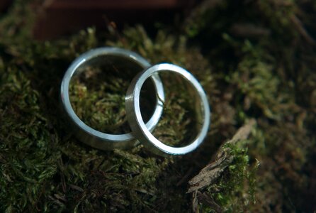 Moss romantic romance photo