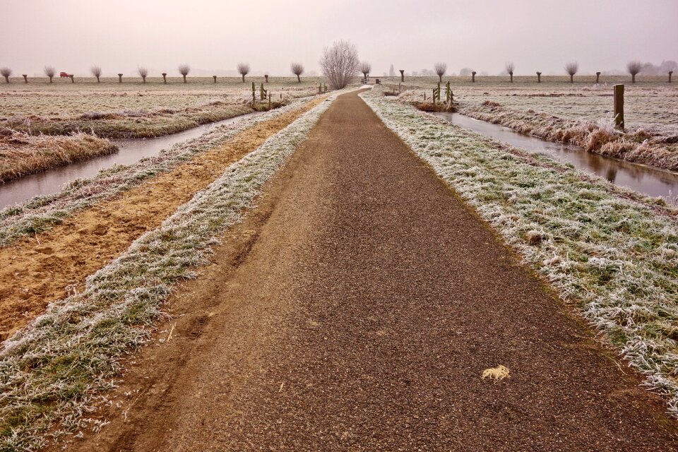 Horizon winter winter landscape