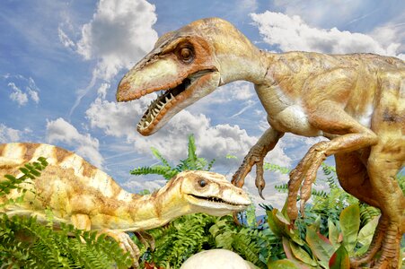Lizards carnivores jurassic