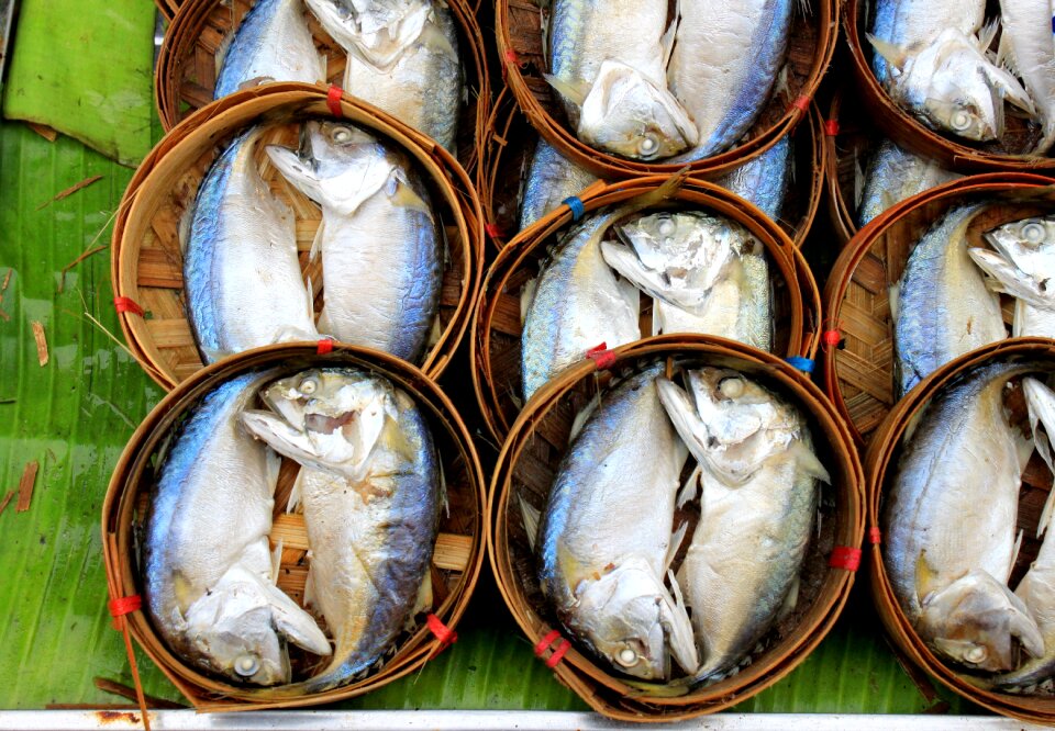 Mackerel food fish photo