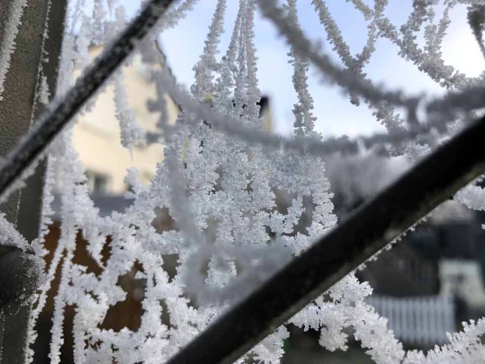 Hoarfrost winter cold
