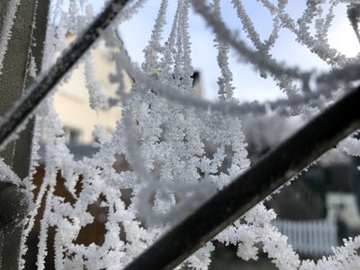 Hoarfrost winter cold
