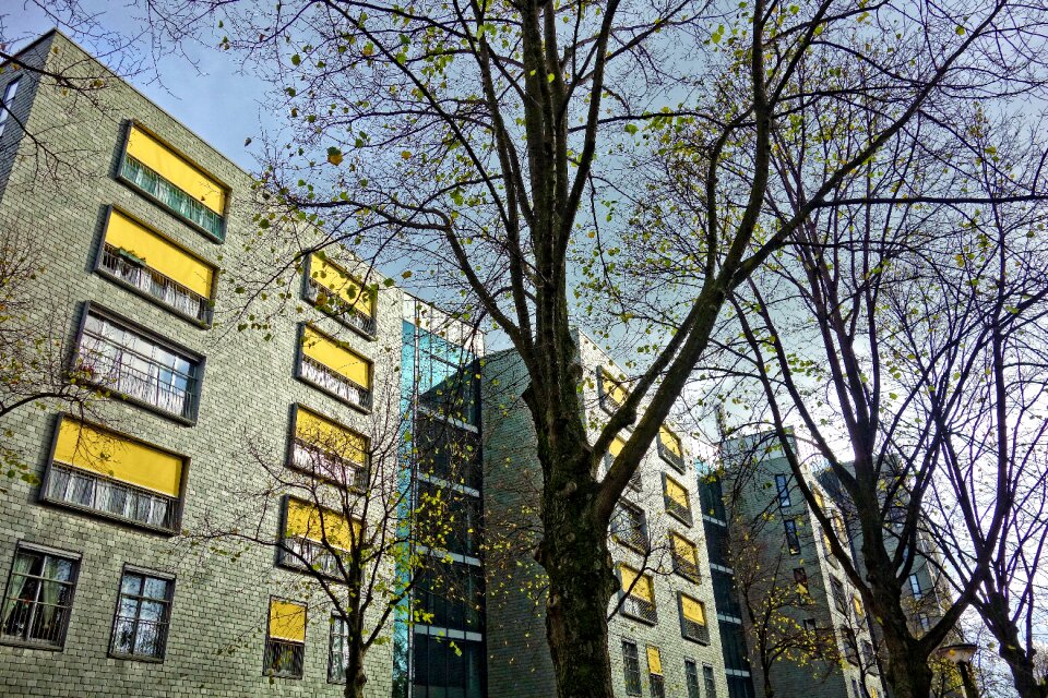Architecture modern urban