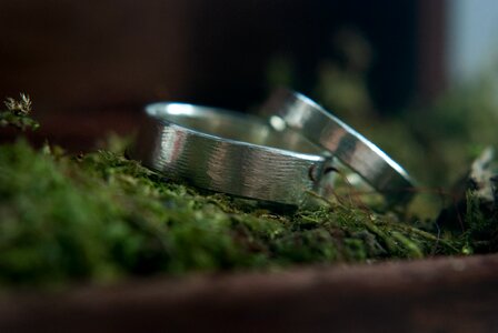 Moss romantic romance