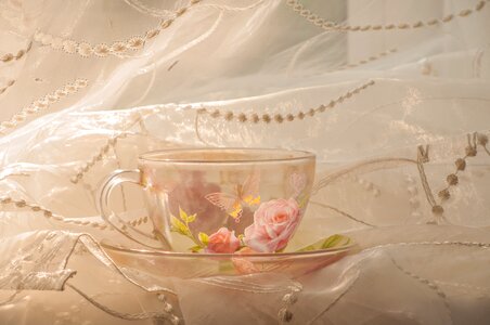 Curtain tulle morning