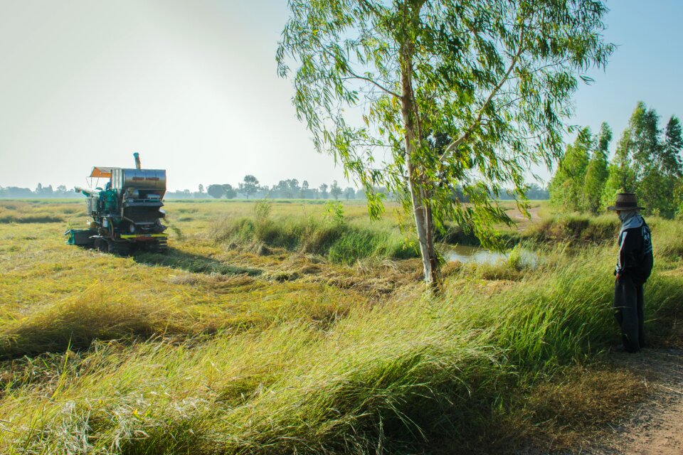 Straw harvest barn