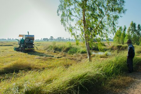 Straw harvest barn photo