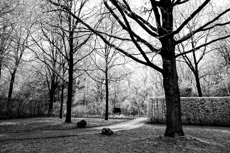 Park frost winter