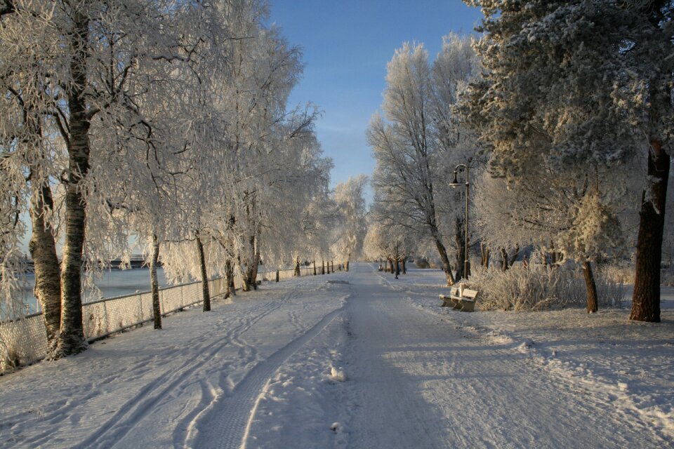 Cold frost white