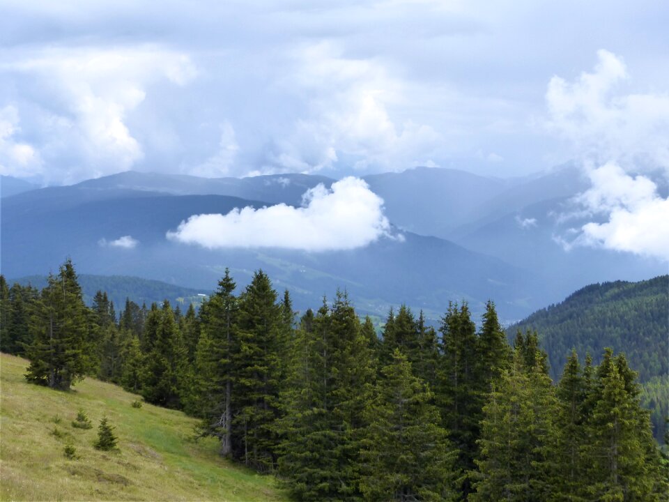 Landscape forests natural spectacle