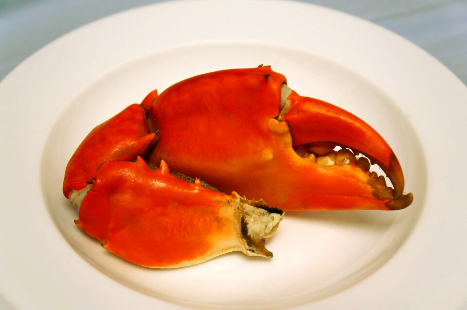 As crab ca mau vietnam