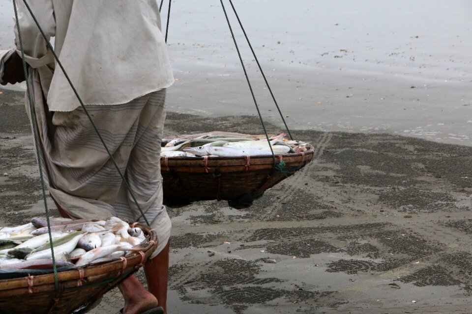 Bangladesh chittagong gray fishing