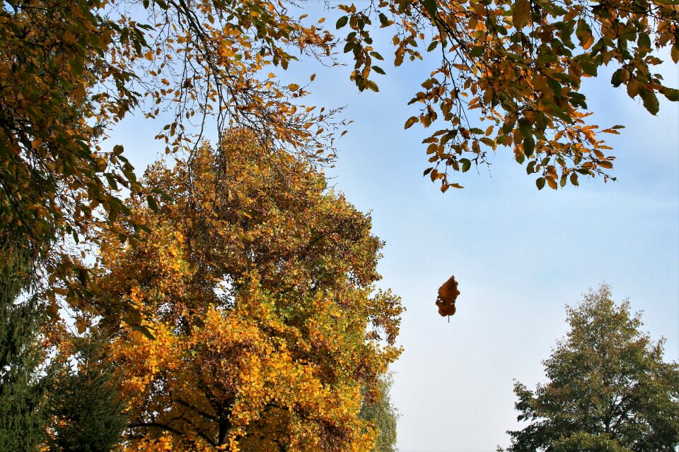 October www scenery