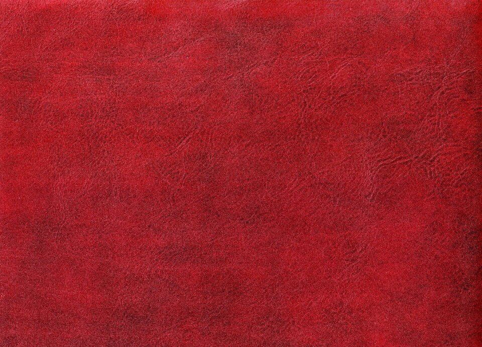 Skin cowhide luxury