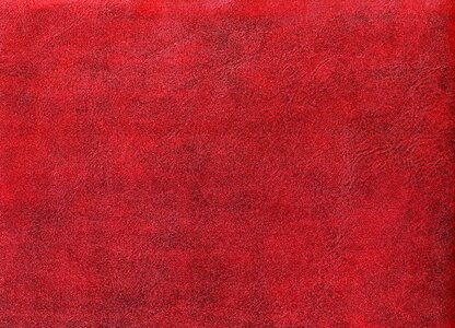 Skin cowhide luxury