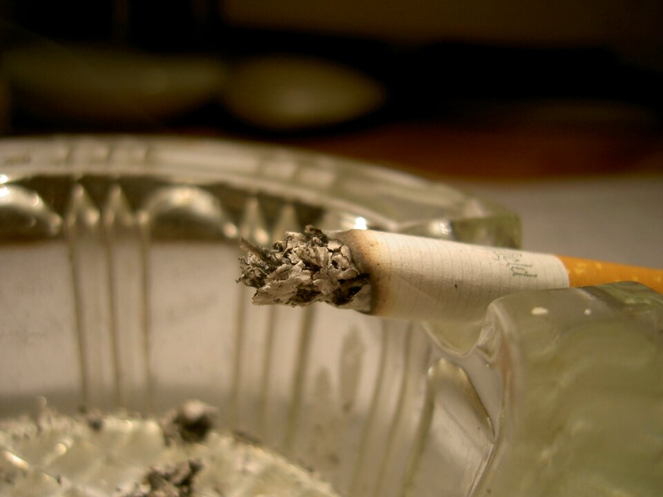 Ash cigarette macro
