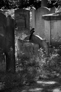 Black creepy gravestone