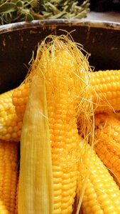 Corncob straw gold photo