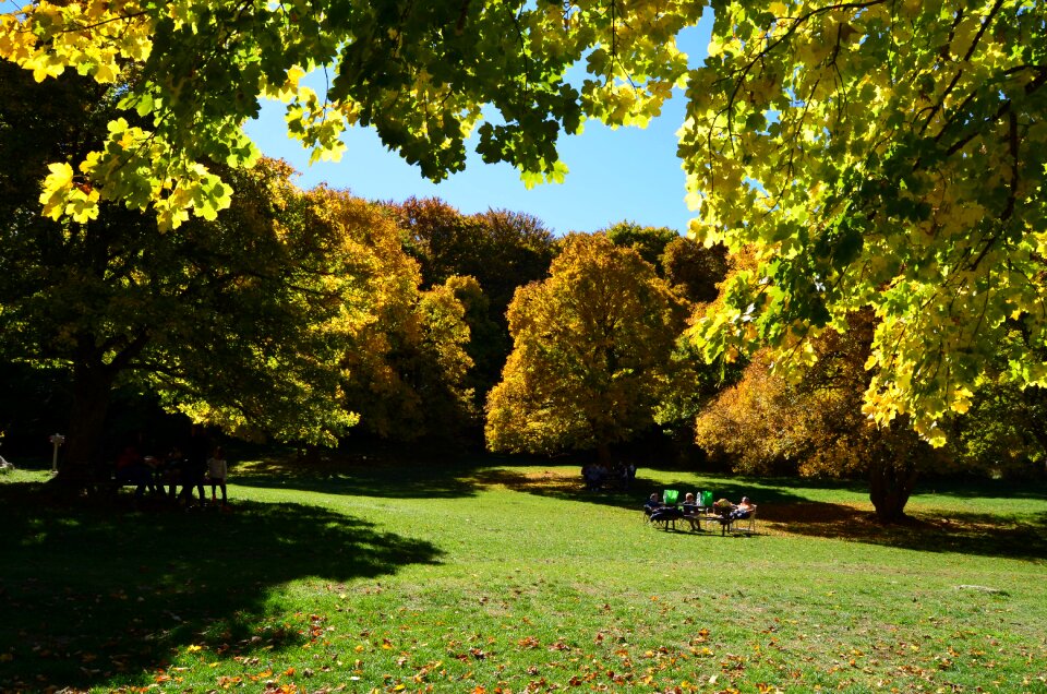 Nature green meadow campaign