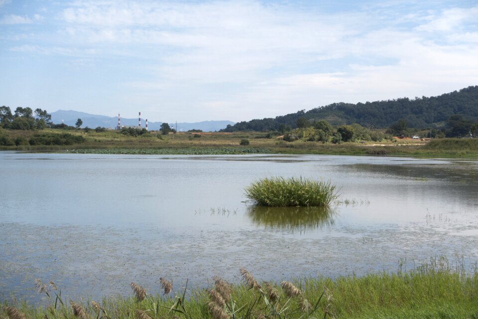 Marsh nature reserve plain