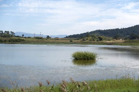 Marsh nature reserve plain