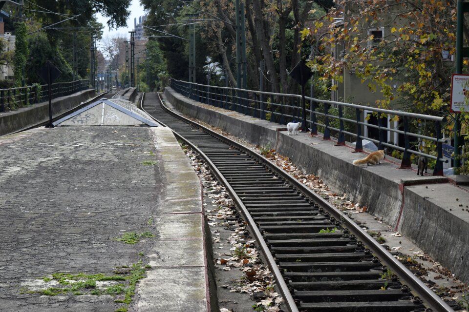 Train railroad landscape