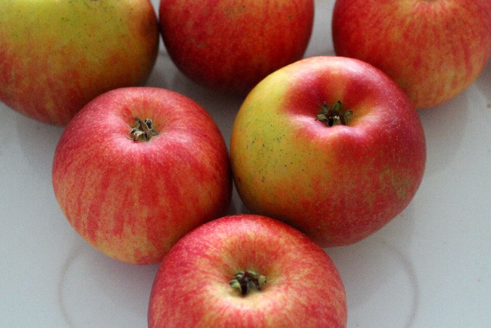 Red nature healthy food