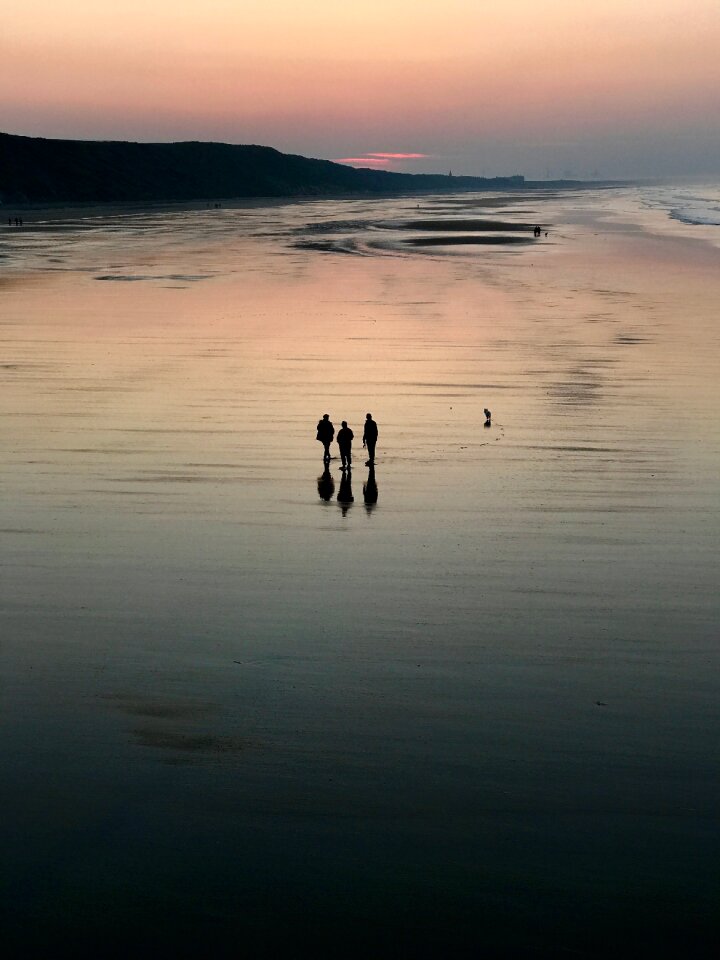 Dog walk ocean photo