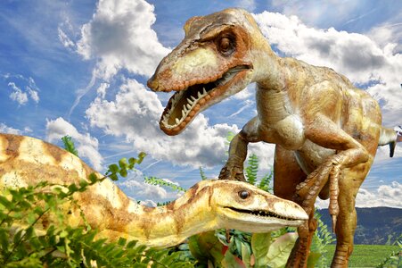 Lizards jurassic reptiles