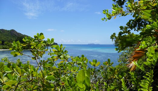 Indian ocean island granite rock