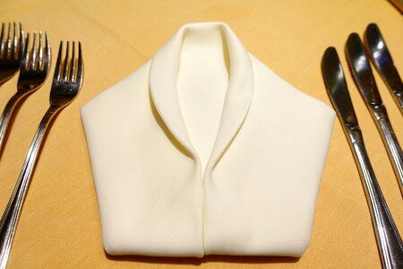 Napkin folding forks knife