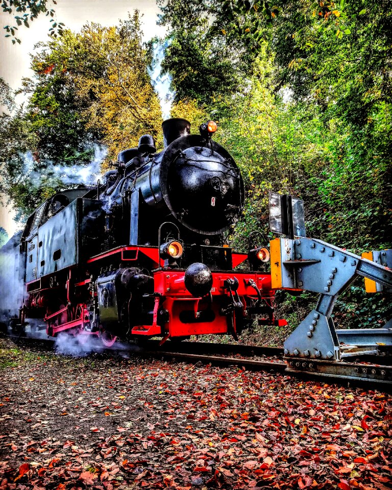 Motor railway line transport system
