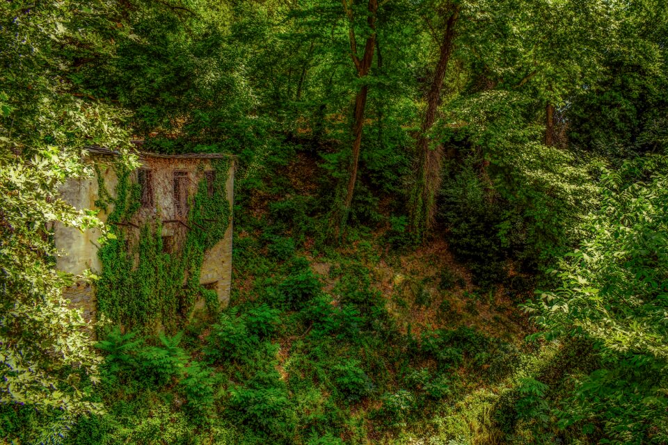 Green house abandoned