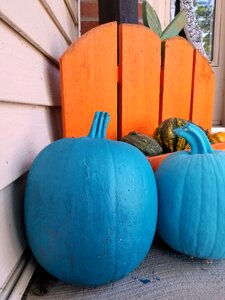 Pumpkins teal pumpkin
