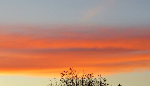 Autumn colorful clouds wood