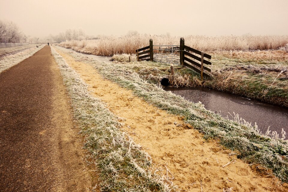 Fence rural hoarfrost