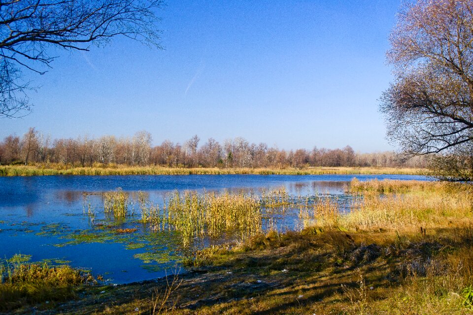 Lake frost background