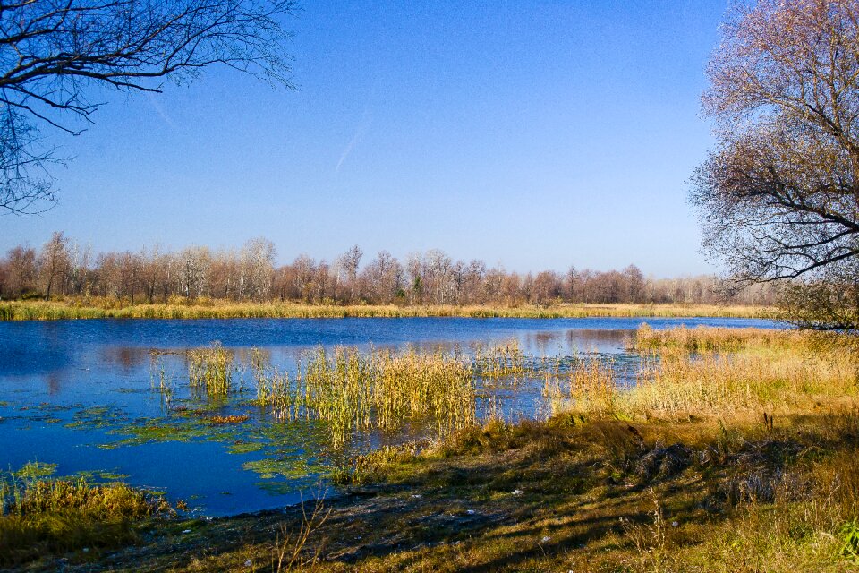 Lake frost background photo